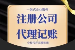 报税变更注销 工商代办注册营业执照 无需到场 大额核定征收